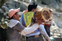 Miércoles 2 de octubre del 2013. Chiapa de Corzo. Las labores de las brigadas de limpieza del Cañón del Sumidero continúan recogiendo tripio, pet y restos de madera que los municipios aledaños depositan en los afluentes del Grijalva.