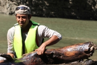 Miércoles 2 de octubre del 2013. Chiapa de Corzo. Las labores de las brigadas de limpieza del Cañón del Sumidero continúan recogiendo tripio, pet y restos de madera que los municipios aledaños depositan en los afluentes del Grijalva.