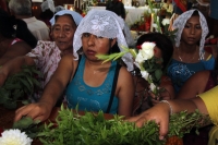 Martes 17 de mayo. El tradicional recorrido del Carretón de San Pascualito Rey recorre esta mañana las calles del sur de la ciudad visitando las antiguas ermitas de la cofradía de la etnia zoque en la ciudad de Tuxtla Gutiérrez.