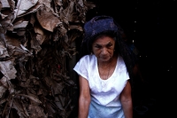 Viernes 8 de diciembre del 2017. Tuxtla Gutiérrez. La Siembra de la Casita Zoque. Los miembros de la comunidad indí­gena zoque construyen una estructura de hoja de plátano donde colocan semillas dentro del ritual premonitorio del ciclo agrí­cola del añ