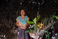 Viernes 8 de diciembre del 2017. Tuxtla Gutiérrez. La Siembra de la Casita Zoque. Los miembros de la comunidad indí­gena zoque construyen una estructura de hoja de plátano donde colocan semillas dentro del ritual premonitorio del ciclo agrí­cola del añ