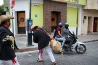 20210503. Tuxtla G. El recorrido del Baile del Torito Zoque en la calles de la ciudad