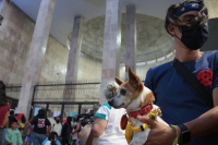 20210418. Tuxtla G. Durante la protesta para exigir respeto a las mascotas en Chiapas.