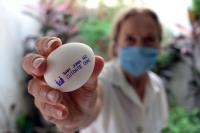 Miércoles 15 de abril del 2020. Tuxtla Gutiérrez. El mensaje de los productores de huevo durante esta contingencia de salud provocada por el Coronavirus