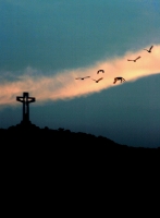 Martes 29 de marzo. Imagen de la contrucción del Cristo de Chiapas