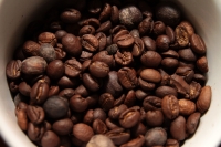 Martes 11 de junio del 2019. Tuxtla Gutiérrez. Muestra de granos de café producido en el estado de Chiapas