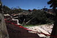 Jueves 7 de agosto del 2014. San Cristóbal de las Casas. El tornado F-0 (cero) del dÃa de ayer presentó ráfagas de viento con más de 70 kilómetros por hora según autoridades de CONAGUA y se han contabilizado más de 400 viviendas afectadas, 40 árboles derr Jueves 7 de agosto del 2014. San Cristóbal de las Casas. El tornado F-0 (cero) del dÃa de ayer presentó ráfagas de viento con más de 70 kilómetros por hora según autoridades de CONAGUA y se han contabilizado más de 400 viviendas afectadas, 40 árboles derr
