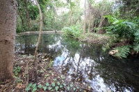 Martes 7 de enero del 2014. Chiapa de Corzo. Los baños del jabalí o  Ngombú  Uhu  o Cumbujuyu lugar donde se ubican las aguas azufradas o curativas donde se sitúa el inicio de las historias de María de Angulo que da origen a las festividades de Enero y a 