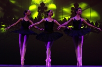 Viernes 26 de abril del 2019. Tuxtla Gutiérrez. Durante las actividades del Día Internacional de la Danza 2019 esta noche en el Teatro de la Ciudad ER