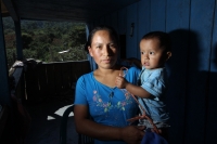 Martes 22 de noviembre. Hambre en las comunidades de los Chimalapas.