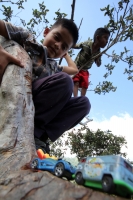 Martes 22 de noviembre. Hambre en las comunidades de los Chimalapas.