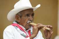Don Luis de Copainala.