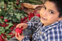 Jueves 2 de marzo del 2020. Enrama.  Durante la elaboración de la ofrenda de flores para el Santísimo en la comunidad de Suchiapa