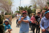 Lunes 30 de abril del 2018. Los Hojeros de Suchiapa recorren a pie varios kilómetros para recolectar las hojas de espadaña; este recorrido es acompañado de decenas de tambores ceremoniales durante las fiestas patronales de la Santa Cruz, siendo esta un