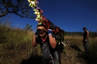 Viernes 20 de diciembre del 2013. Acala. Los Floreros de Chiapa de Corzo llegan esta mañana a El Rodeo donde pernoctaran antes de regresar a la colonial ciudad de la ribera con los atados de flor de Nilurayilo sobre las espaldas y después de recorrer algu