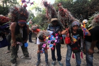 Miércoles 21 de diciembre del 2016. Chiapa de Corzo. La Topada de la Flor. Los jóvenes floreros llegan a Chiapa de Corzo después de caminar por cientos de kilómetros hacia las comunidades de Los Altos de Chiapas y de recolectar manojos o amarres del tubér Miércoles 21 de diciembre del 2016. Chiapa de Corzo. La Topada de la Flor. Los jóvenes floreros llegan a Chiapa de Corzo después de caminar por cientos de kilómetros hacia las comunidades de Los Altos de Chiapas y de recolectar manojos o amarres del tubér