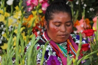 Lunes 31 de octubre del 2016. Tuxtla Gutiérrez. Las manos expertas de las mujeres de los parajes del municipio de San Lorenzo Zinacantan ofrecen desde hace varios años arreglos y flores en los panteones de la capital del estado de Chiapas