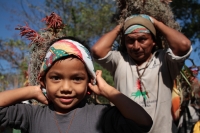 Viernes 21 de diciembre del 2018. Chiapa de Corzo. Los Floreros terminan el recorrido de La Topada de la Flor en la región de Los Altos donde recolectaron la flor de Niluyarilu, tubérculo que es usado de manera ceremonial al inicio de los festejos de la