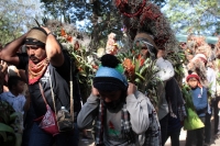 Viernes 21 de diciembre del 2018. Chiapa de Corzo. Los Floreros terminan el recorrido de La Topada de la Flor en la región de Los Altos donde recolectaron la flor de Niluyarilu, tubérculo que es usado de manera ceremonial al inicio de los festejos de la