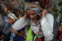Viernes 21 de diciembre del 2018. Chiapa de Corzo. Los Floreros terminan el recorrido de La Topada de la Flor en la región de Los Altos donde recolectaron la flor de Niluyarilu, tubérculo que es usado de manera ceremonial al inicio de los festejos de la