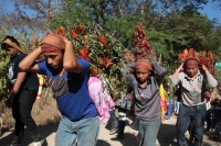 Viernes 21 de diciembre del 2018. Chiapa de Corzo. Los Floreros terminan el recorrido de La Topada de la Flor en la región de Los Altos donde recolectaron la flor de Niluyarilu, tubérculo que es usado de manera ceremonial al inicio de los festejos de la