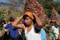 Viernes 21 de diciembre del 2018. Chiapa de Corzo. Los Floreros terminan el recorrido de La Topada de la Flor en la región de Los Altos donde recolectaron la flor de Niluyarilu, tubérculo que es usado de manera ceremonial al inicio de los festejos de la