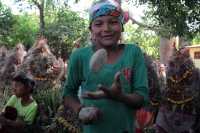 Jueves 21 de diciembre del 2017. Chiapa de Corzo. Los jóvenes floreros llegan este medio dí­a a Chiapa de Corzo después de permanecer recolectando la flor de Niluyarilu en las comunidades de la zona de Los Altos de Chiapas. Este tubérculo será utiliza