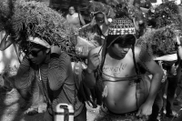 Jueves 21 de diciembre del 2017. Chiapa de Corzo. Los jóvenes floreros llegan este medio dí­a a Chiapa de Corzo después de permanecer recolectando la flor de Niluyarilu en las comunidades de la zona de Los Altos de Chiapas. Este tubérculo será utiliza