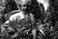 Jueves 21 de diciembre del 2017. Chiapa de Corzo. Los jóvenes floreros llegan este medio dí­a a Chiapa de Corzo después de permanecer recolectando la flor de Niluyarilu en las comunidades de la zona de Los Altos de Chiapas. Este tubérculo será utiliza