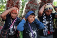 Jueves 21 de diciembre del 2017. Chiapa de Corzo. Los jóvenes floreros llegan este medio dí­a a Chiapa de Corzo después de permanecer recolectando la flor de Niluyarilu en las comunidades de la zona de Los Altos de Chiapas. Este tubérculo será utiliza