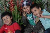 Martes 18 de diciembre del 2018. Zinacantan. Los tuberculos de la flor de Niluyarilo es recoelctada por jóvenes provenientes de la comunidad de Chiapa de Corzo en las comunidades de Los altos de Chiapas recorriendo varios kilómetros a pie. La planta que