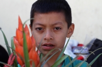 Martes 18 de diciembre del 2018. Zinacantan. Los tuberculos de la flor de Niluyarilo es recoelctada por jóvenes provenientes de la comunidad de Chiapa de Corzo en las comunidades de Los altos de Chiapas recorriendo varios kilómetros a pie. La planta que