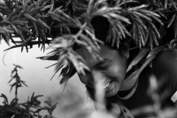 Martes 18 de diciembre del 2018. Zinacantan. Los tuberculos de la flor de Niluyarilo es recoelctada por jóvenes provenientes de la comunidad de Chiapa de Corzo en las comunidades de Los altos de Chiapas recorriendo varios kilómetros a pie. La planta que
