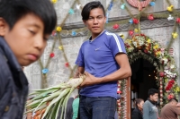 Martes 18 de diciembre del 2018. Zinacantan. Los tuberculos de la flor de Niluyarilo es recoelctada por jóvenes provenientes de la comunidad de Chiapa de Corzo en las comunidades de Los altos de Chiapas recorriendo varios kilómetros a pie. La planta que
