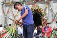 Martes 18 de diciembre del 2018. Zinacantan. Los tuberculos de la flor de Niluyarilo es recoelctada por jóvenes provenientes de la comunidad de Chiapa de Corzo en las comunidades de Los altos de Chiapas recorriendo varios kilómetros a pie. La planta que