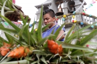 Martes 18 de diciembre del 2018. Zinacantan. Los tuberculos de la flor de Niluyarilo es recoelctada por jóvenes provenientes de la comunidad de Chiapa de Corzo en las comunidades de Los altos de Chiapas recorriendo varios kilómetros a pie. La planta que