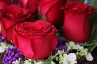 Miércoles 10 de mayo del 2017. Tuxtla Gutiérrez. Las flores chiapanecas siguen siendo uno de los regalos preferidos en las celebraciones familiares en México. Los mercados populares venden los arreglos florales a precios económicos al ser las flores produ