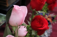 Miércoles 10 de mayo del 2017. Tuxtla Gutiérrez. Las flores chiapanecas siguen siendo uno de los regalos preferidos en las celebraciones familiares en México. Los mercados populares venden los arreglos florales a precios económicos al ser las flores produ