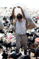 Julio del 2014. Tapachula, Chiapas. Niños, centroamericanos e indigentes pepenadores en el basurero municipal de esta ciudad de la frontera sur de México.