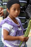 Domingo 29 de marzo del 2015. Tuxtla Gutiérrez, Cada año disminuye el número de las familias artesanas que continúan  elaborando las palmas en los atrios de las iglesias de la capital del estado de Chiapas.