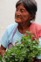 Miércoles 24 de mayo del 2017. Tuxtla Gutiérrez. Una bella anciana nos ofrece las bondades de la herbolaria chiapaneca en las cercanías del Hospital Regional