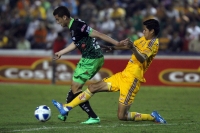 Sábado 15 de febrero del 2014. Tuxtla Gutiérrez. Jaguares de Chiapas y los Tigres durante el partido de esta noche en el estadio Zoque. Sábado 15 de febrero del 2014. Tuxtla Gutiérrez. Jaguares de Chiapas y los Tigres durante el partido de esta noche en el estadio Zoque.