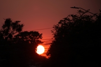 20210412. Tuxtla G. Las partículas suspendidas en el aire y el intenso calor ofrecen la oportunidad de ver estos paisajes en la capital del estado de Chiapas.