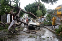 Miércoles 22 de julio del 2020. Tuxtla Gutiérrez. Durante la fuerte lluvia de esta tarde, las calles de la ciudad sufren encharcamientos y hay varios árboles colapsados