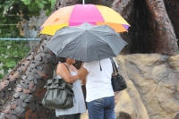 Lunes 30 de mayo. La lluvia de este lunes obligo a algunos transeúntes a sacar los paraguas para protegerse del agua.