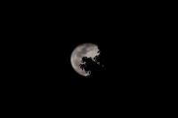 20210329. Tuxtla G. La luna en los últimos días de marzo