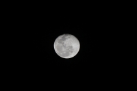 20210101. Tuxtla G. La �ltima luna del a�o y la primera del 2021 nos obsequia su tez iluminando la madrugada