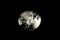 La luna de marzo del 2012.