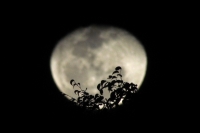 La luna de marzo del 2012.