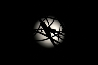 Viernes 3 de noviembre del 2017. Tuxtla Gutiérrez. La primera luna de noviembre nos ofrece su vista desde la perspectiva urbana de la ciudad. Viernes 3 de noviembre del 2017. Tuxtla Gutiérrez. La primera luna de noviembre nos ofrece su vista desde la perspectiva urbana de la ciudad.